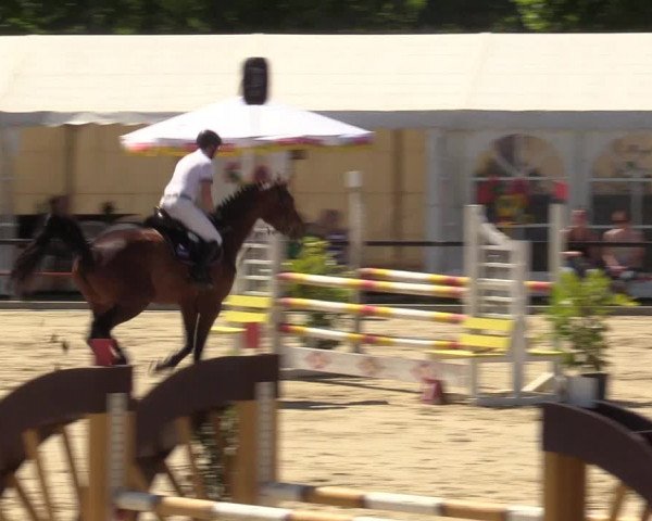 Reitturnier Hamm-Rhynern 2017