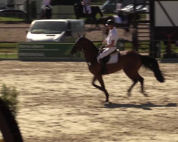 Reitturnier Hamm-Rhynern 2017