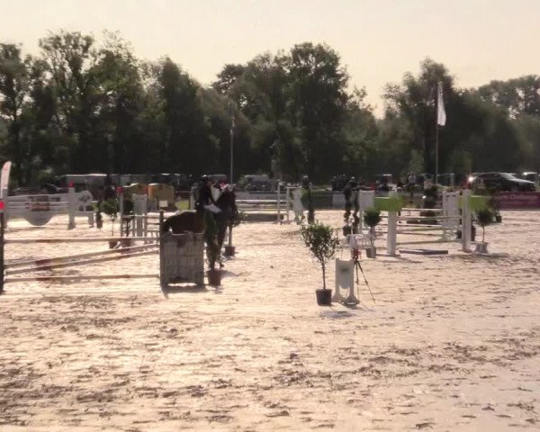 Reitturnier Detmold-Remmighausen 2017