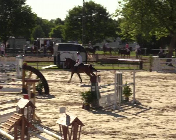 Reitturnier Hamm-Rhynern 2017