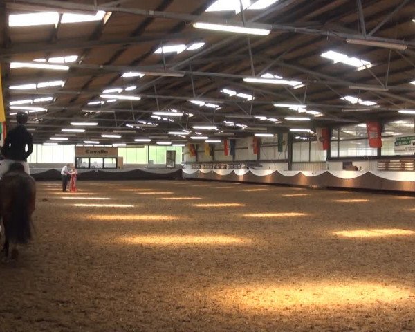 Reitturnier Bochum-Nord 2017