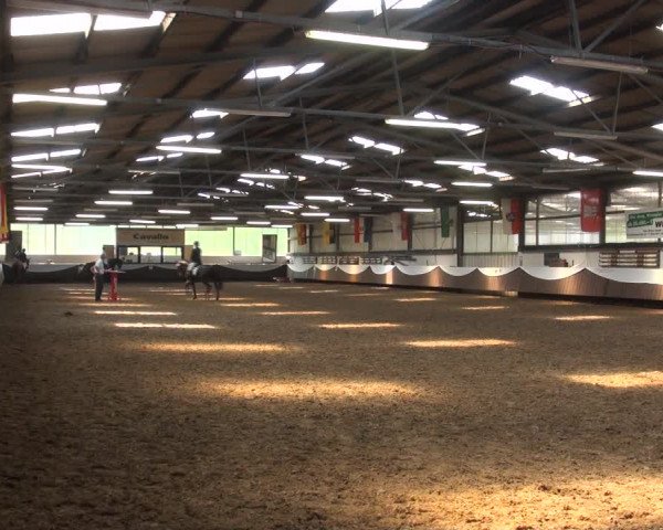 Reitturnier Bochum-Nord 2017