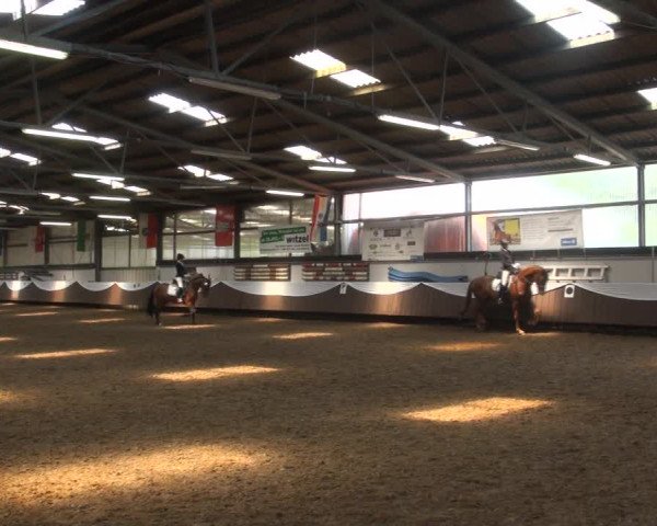 Reitturnier Bochum-Nord 2017