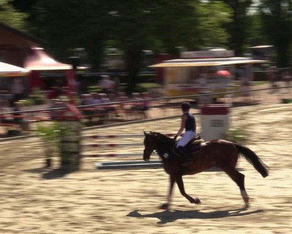 Reitturnier Hamm-Rhynern 2017