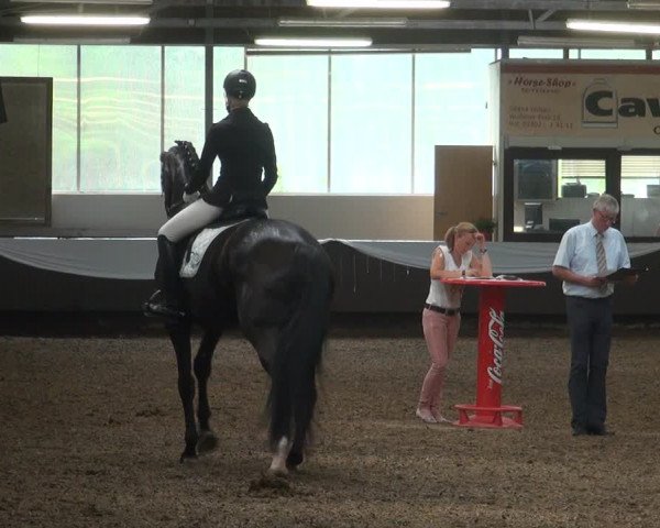 Reitturnier Bochum-Nord 2017