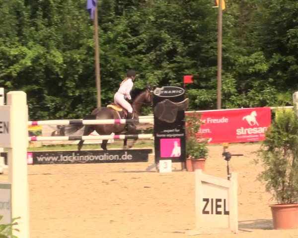 Reitturnier Bochum-Nord 2017