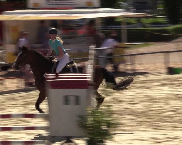 Reitturnier Hamm-Rhynern 2017