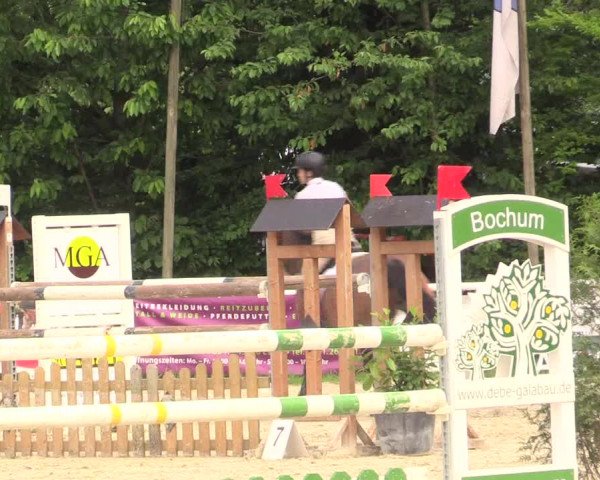 Reitturnier Bochum-Nord 2017