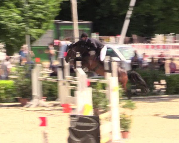 Reitturnier Bochum-Nord 2017