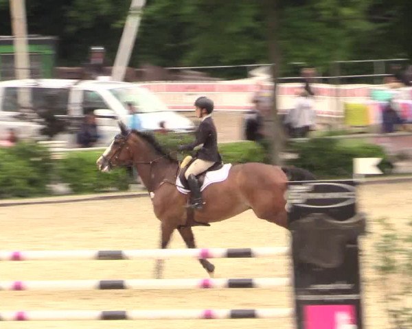 Reitturnier Bochum-Nord 2017