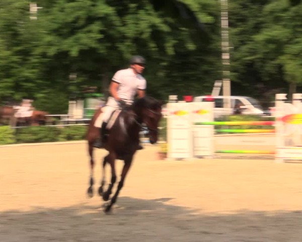 Reitturnier Bochum-Nord 2017
