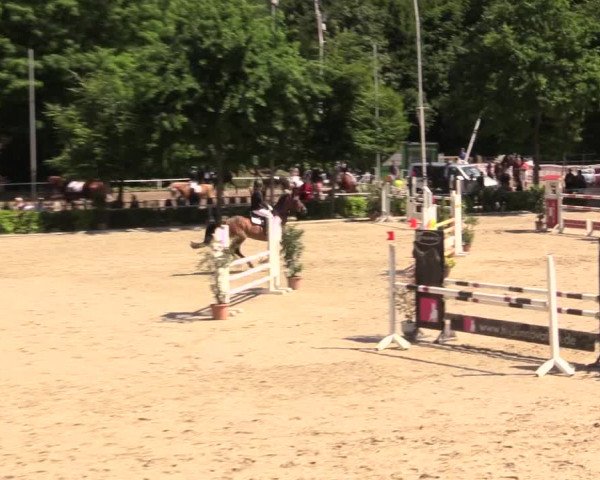 Reitturnier Bochum-Nord 2017
