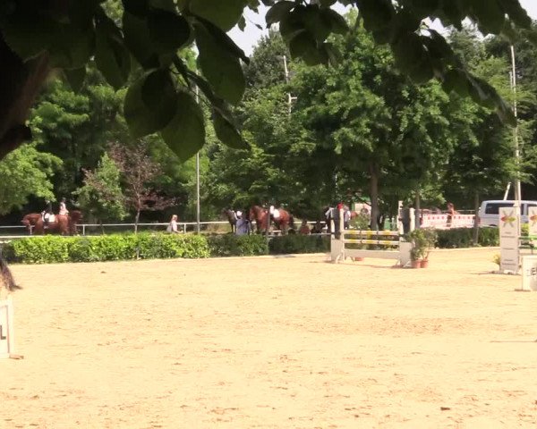 Reitturnier Bochum-Nord 2017