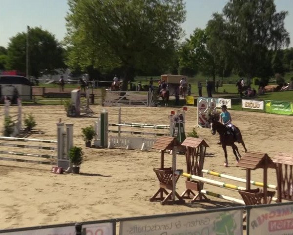 Reitturnier Hamm-Rhynern 2017