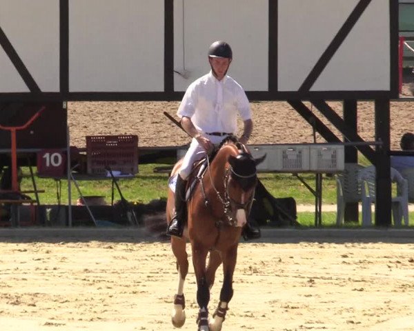 Reitturnier Hamm-Rhynern 2017