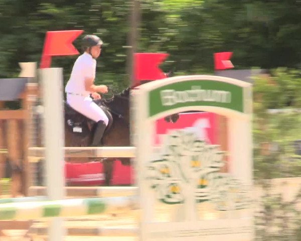 Reitturnier Bochum-Nord 2017