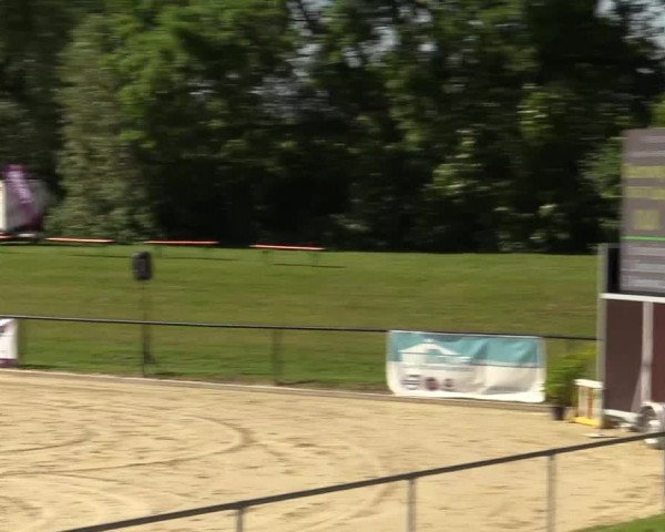 Reitturnier Hamm-Rhynern 2017