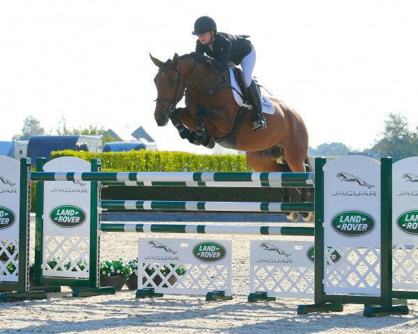 jumper Coco Chanel M (Rhinelander, 2012, from Cristallo II)