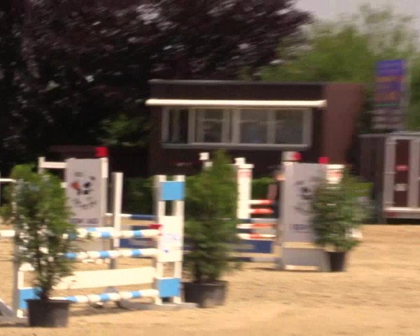 Reitturnier Fröndenberg 2017