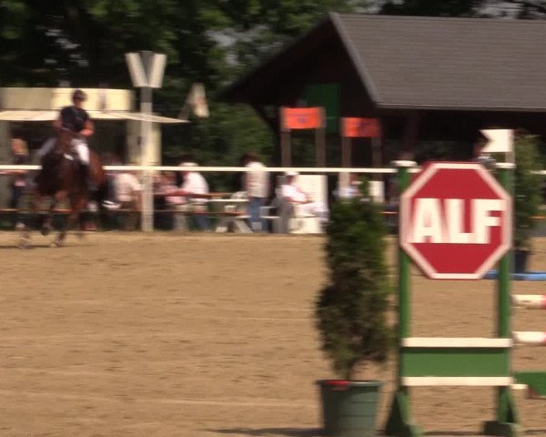Reitturnier Fröndenberg 2017