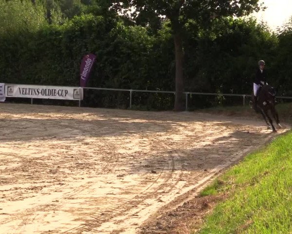 Reitturnier Fröndenberg 2017