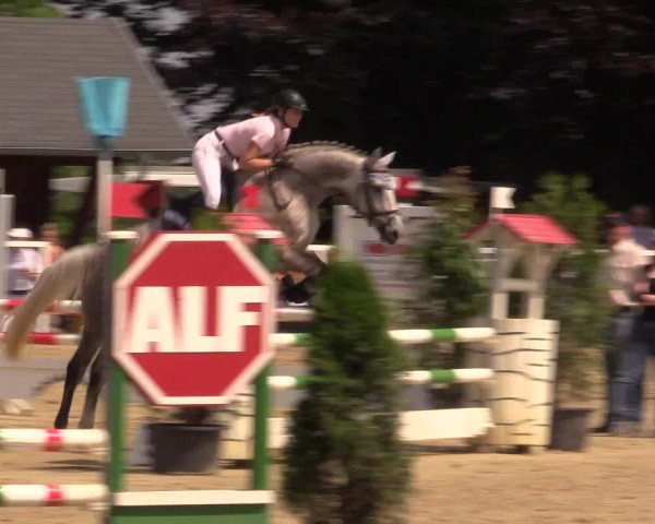 Reitturnier Fröndenberg 2017