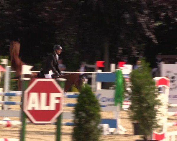 Reitturnier Fröndenberg 2017