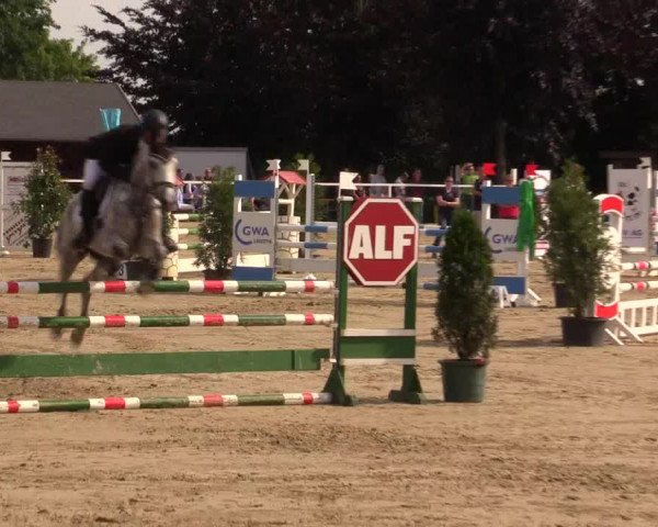 Reitturnier Fröndenberg 2017