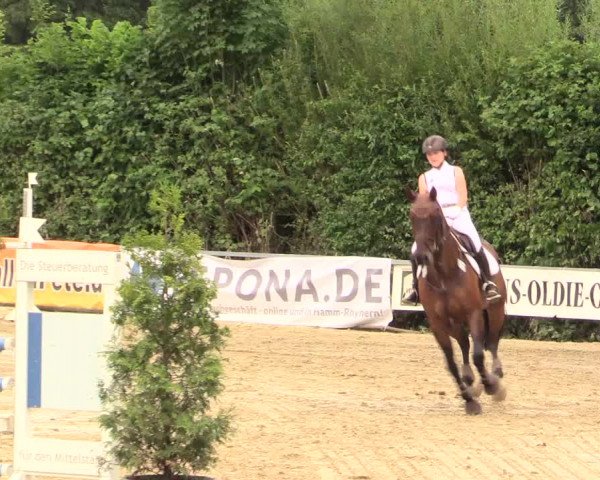 Reitturnier Fröndenberg 2017
