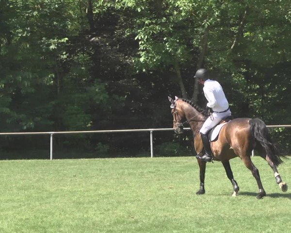 Reitturnier Leingarten 2017