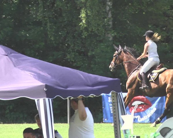 Reitturnier Leingarten 2017