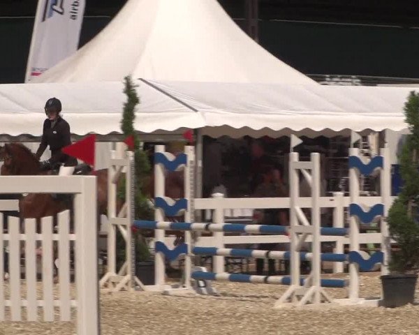Reitturnier Köln-Weidenpesch Equorius 2017