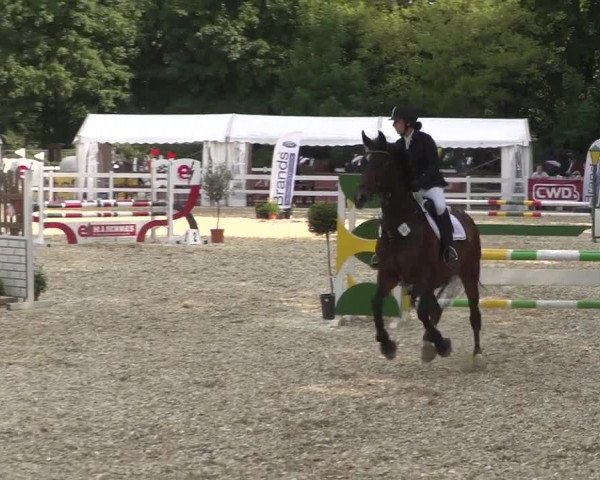 Reitturnier Köln-Weidenpesch Equorius 2017