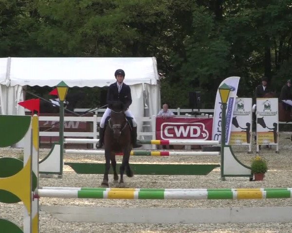 Reitturnier Köln-Weidenpesch Equorius 2017