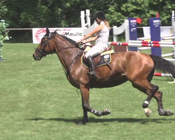 Reitturnier Leingarten 2017