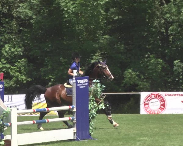 Reitturnier Leingarten 2017