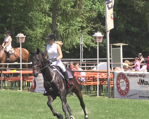 Reitturnier Leingarten 2017