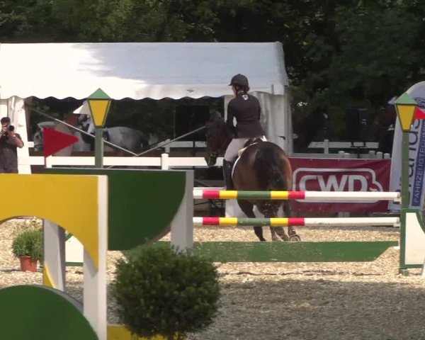 Reitturnier Köln-Weidenpesch Equorius 2017