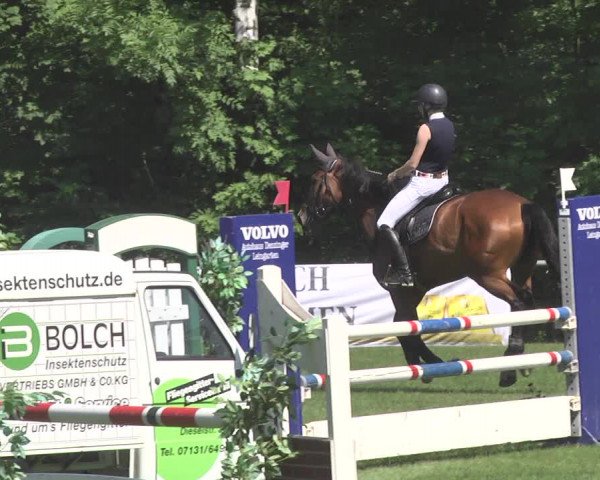Reitturnier Leingarten 2017