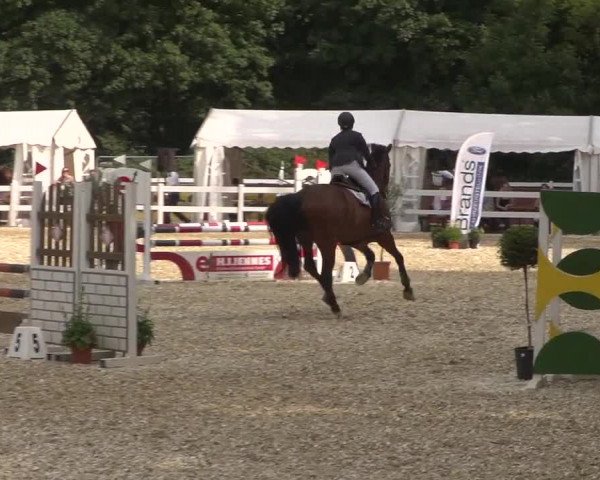 Reitturnier Köln-Weidenpesch Equorius 2017