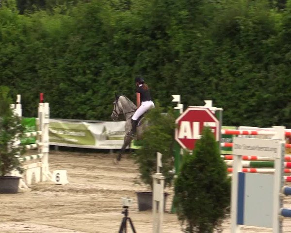 Reitturnier Fröndenberg 2017