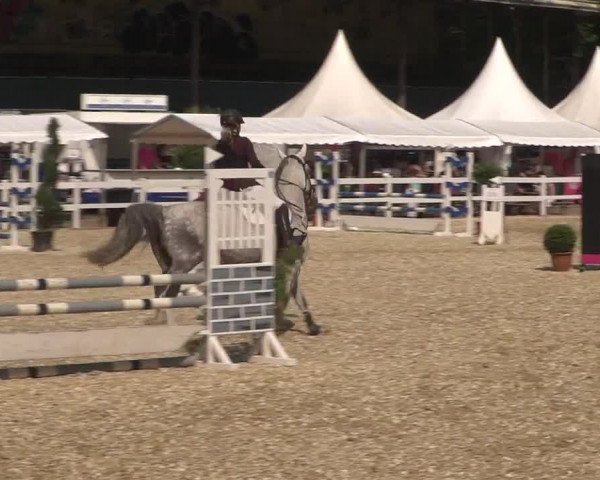 Reitturnier Köln-Weidenpesch Equorius 2017