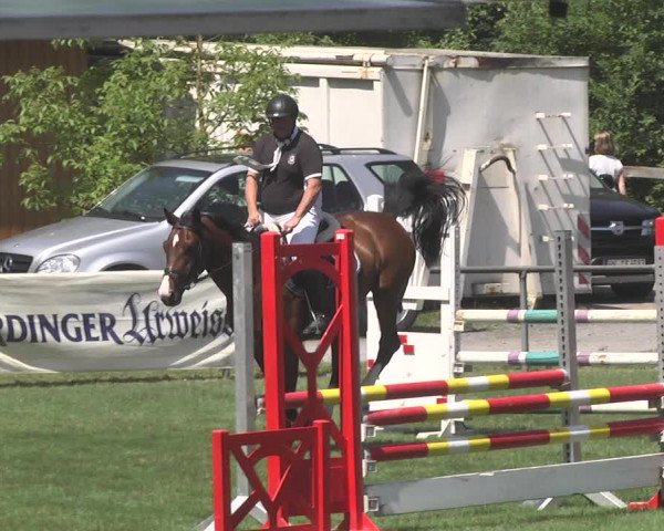 Reitturnier Leingarten 2017