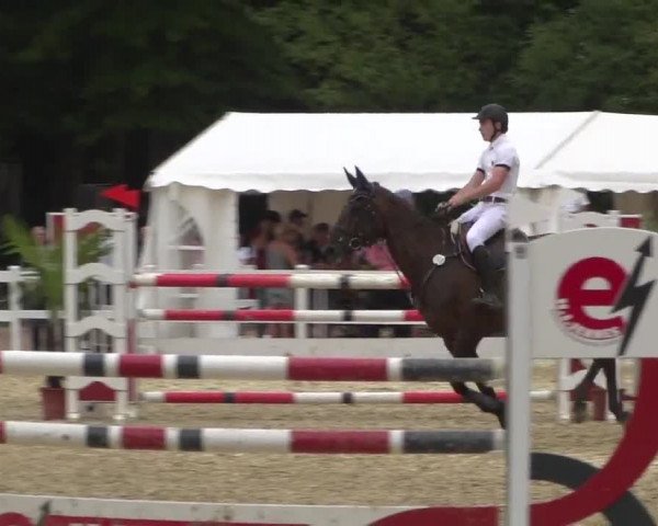 Reitturnier Köln-Weidenpesch Equorius 2017