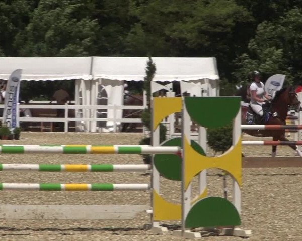 Reitturnier Köln-Weidenpesch Equorius 2017