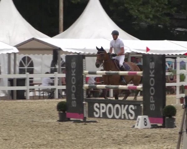 Reitturnier Köln-Weidenpesch Equorius 2017
