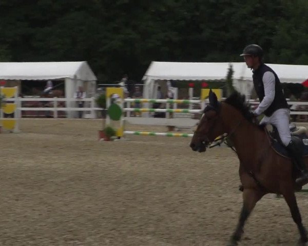 Reitturnier Köln-Weidenpesch Equorius 2017