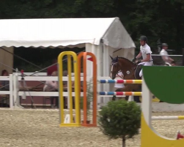 Reitturnier Köln-Weidenpesch Equorius 2017