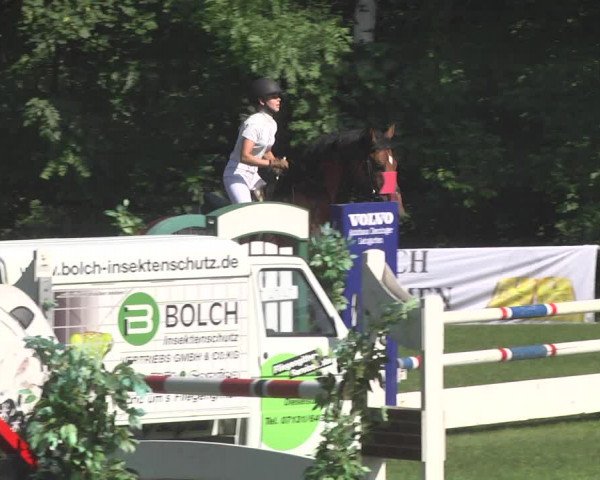 Reitturnier Leingarten 2017