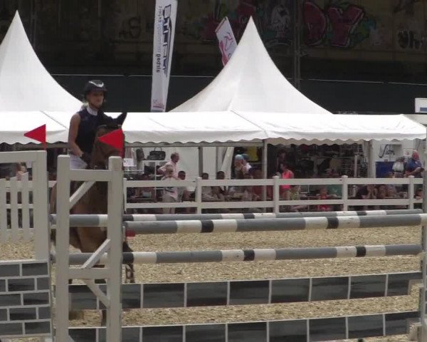 Reitturnier Köln-Weidenpesch Equorius 2017